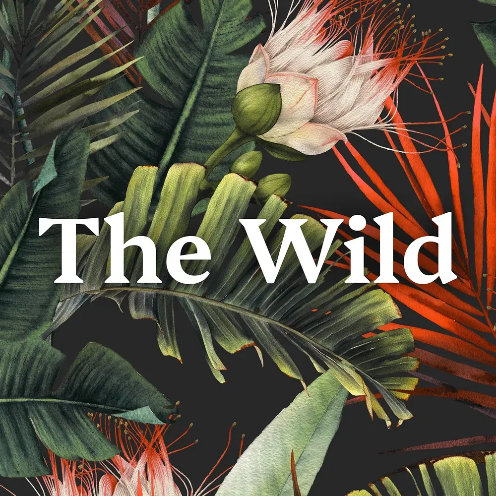 The Wild