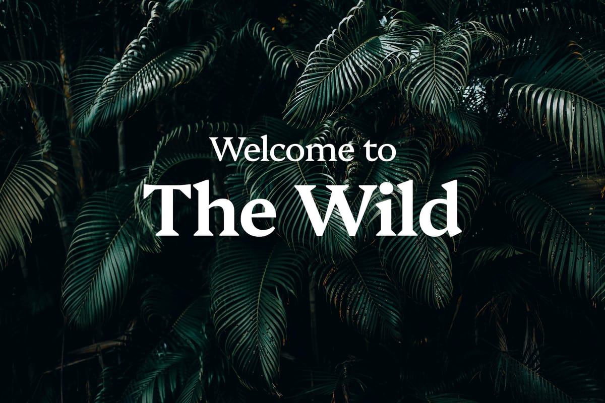 Welcome to The Wild 2.0