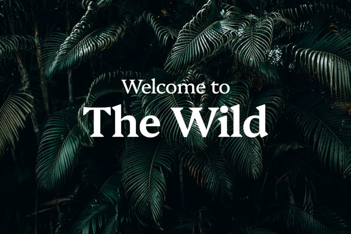 Welcome to The Wild 2.0